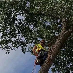 Meet your Posher, Mary jean